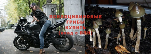 соль ск Медвежьегорск